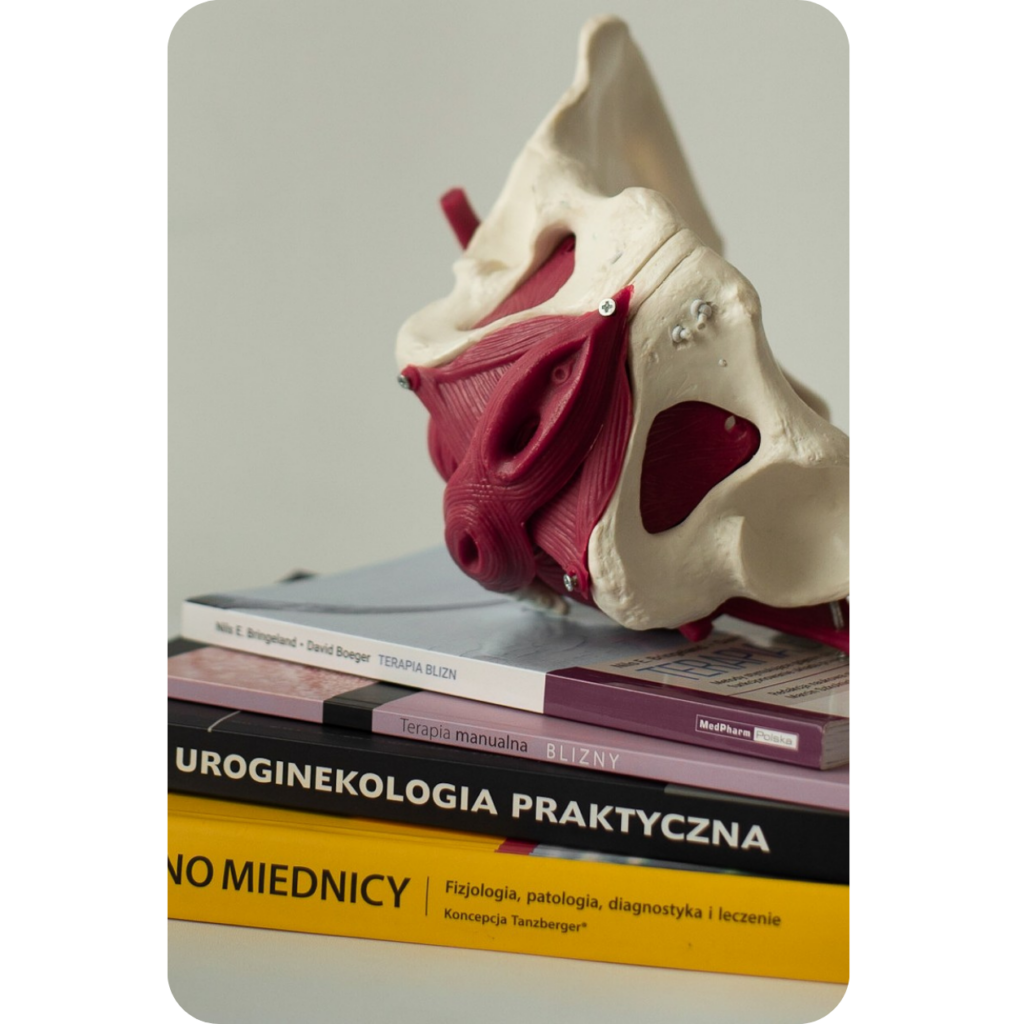 Uroginekologia Poznań Miednica książki uroginekologia miednica Poznań fizjoterapeutka uroginekologiczna Poznań