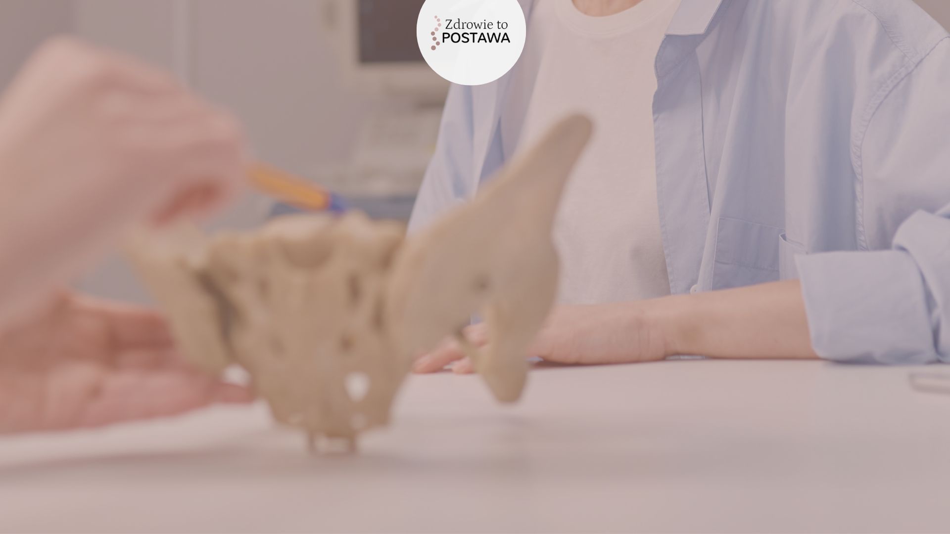 Miednica, mięśnie dna miednicy, fizjoterapia uroginekologiczna, wizyta Komorniki